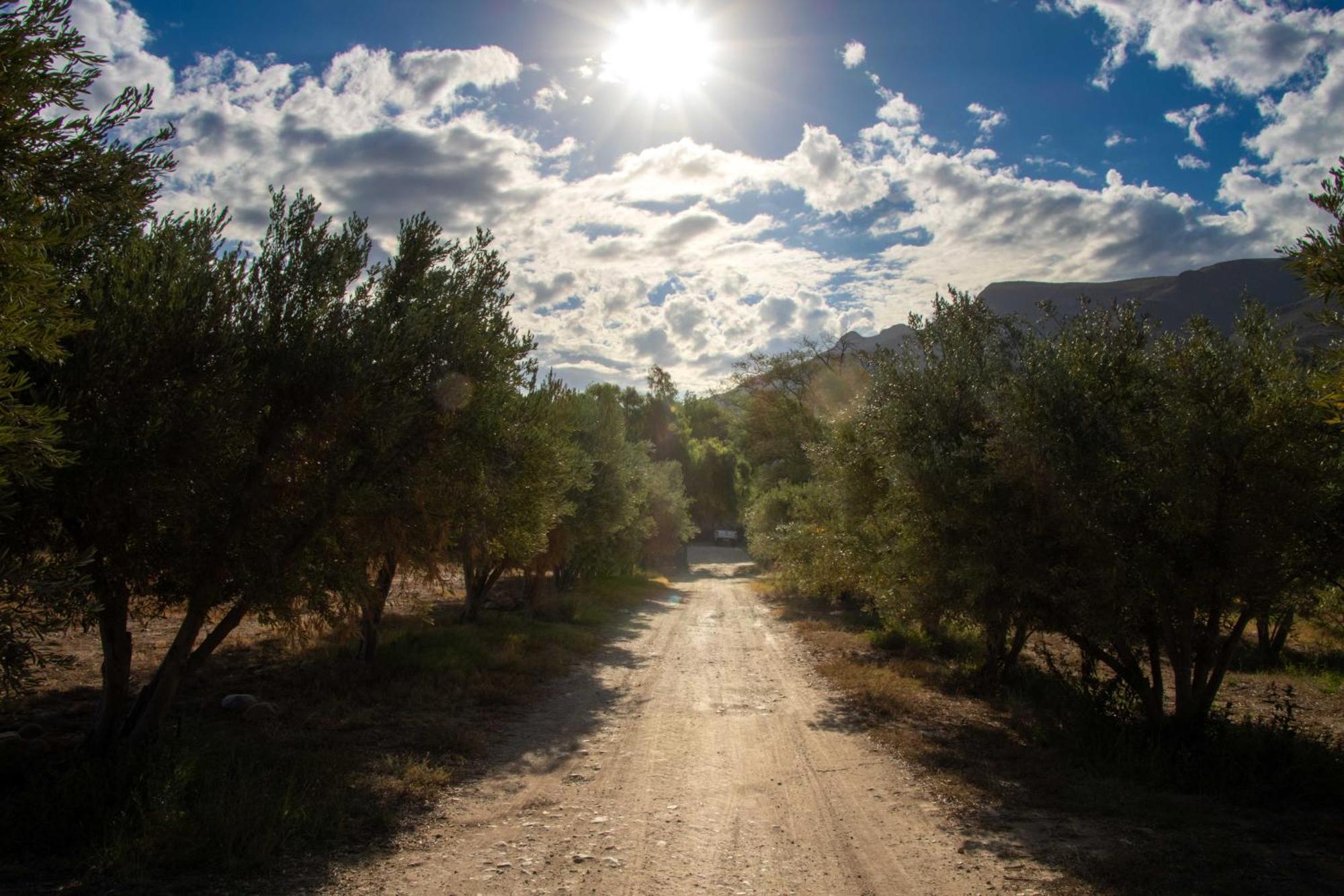 Rumali Farm & Cottage مونتاغو المظهر الخارجي الصورة